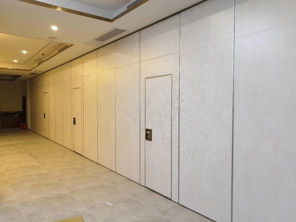 Partition wall with door