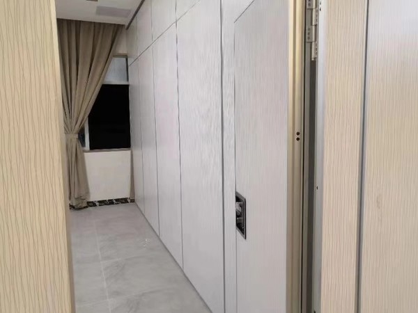 Partition wall with door